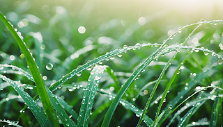 ꖹHǵ¶G~cףȻһ֏ͻ