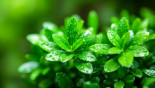 ꖹĵľG~WqˮΓȻrͻ