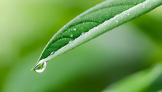 ˮbľG~،ڌoĭh(hun)в׽Ȼ