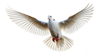 һֻۂİڼ׵ıչ᰿