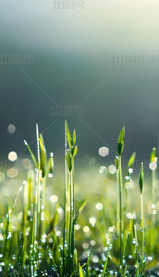 С