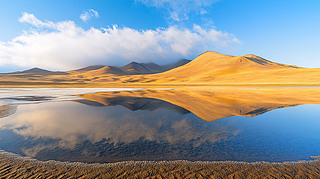 ɳĮеĺˮӰ{(ln)cɳľ