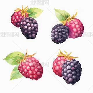 ݮ