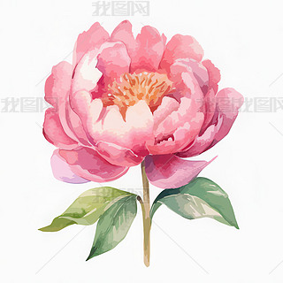 ĵˮʮ