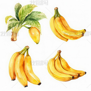 ˮ㽶L