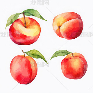 ˮҹ