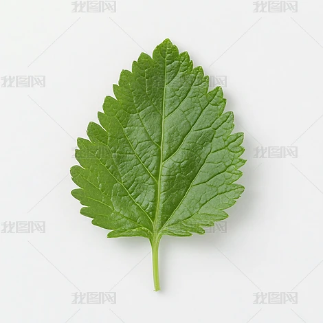 ~