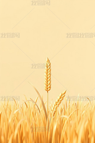һƬݵһߴСoDƬ