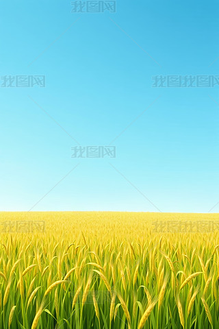 һƬG{،R^DƬ