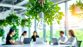 eµk҃(ni)ҒݺͳMľGɫ