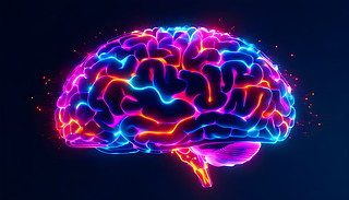 MĴXDչʾ܅^(q)޺c{(dio)