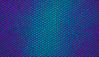 ʺɫ{ɫɫЄ[Ƭ