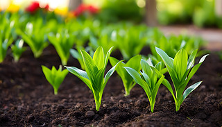 MľGѿڷֵѳL͹@˿