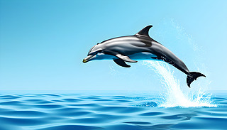 Mĺ󱳾гMĺSչF(xin)(dng)