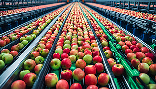 ЧĂ͎rO\(yn)ͨ^æļӹ