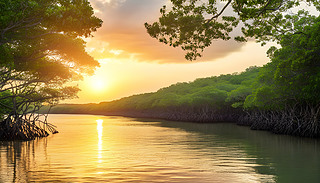 ?k)oغ˼t(sh)֜ůĽⷴڌ