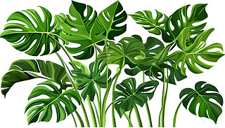 ᎧľClipart԰ɫƽO(sh)Ӌ(j)Į