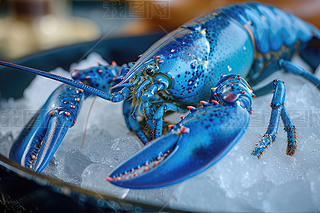 z{(ln)ɫrϢzҊ{(ln)ɫ