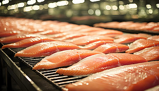 ĹI(y)q~(y)Ƭڼӹ͎