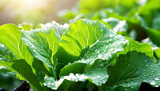 |(zh)ľƻ@h(hun)ˬڳMľG