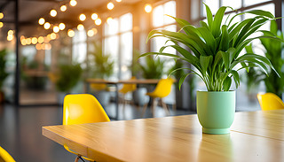 eµĬF(xin)kO(sh)ӋľkM