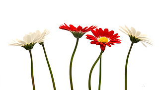 Mļtɫ޾Ճ(yu)ŵչʾԭʼİɫ