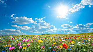 Ұʢ_Ĳݵ