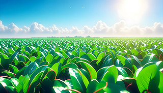 V韵r(nng)ʵ{(ln)չʾһѳL(zhng)