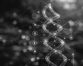 ֻDNA