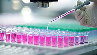 ƌW(xu)PCRy(c)͵|(zh)