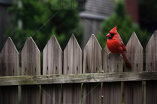 СB΢ƽl(xing)ľř픲