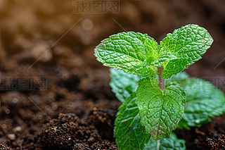 һСֲɭl(f)ѿһ֦ɷl(f)ѿ