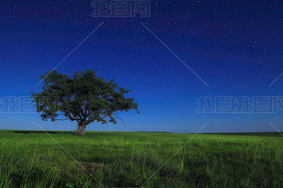 һØ¹ҫ²ݵӳrccҹ