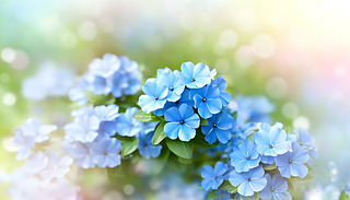˵{ɫʯϻȻ¾`лܱͳ