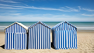 Z׶S˵ĺнɫɳL(fng)