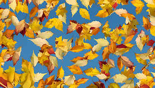 ~(gu){ɫڰ屳óMSɫɫ{(dio)c