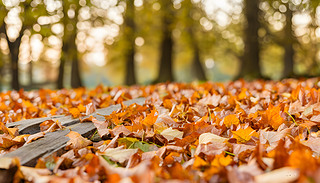 ɭֈ(chng)C(j)ĳɫ(sh)~ɢL(fng)