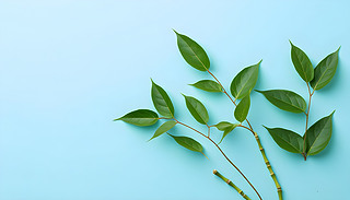 oO(sh)Ӌ(j)ƽoͱԾµľGɫ