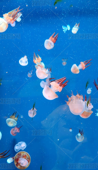 ˮĸĉ(mng){(ln)ɫ