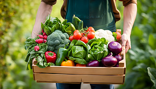 ի@Ȼpr(nng)ľѝMr߲