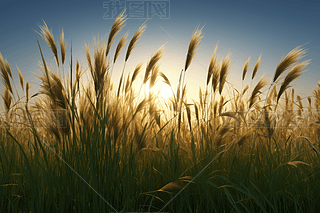 Ұ߸ߵĲݵϦꖸL(fng)L(fng)DƬ