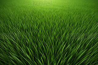 һƬݵغľGɫ،LLDƬ