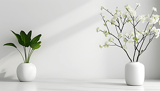 ɫs҃(ni)»ƿԵı(3)