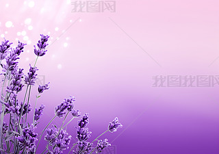 ɫܱ