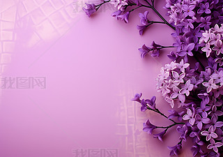 ɫܱ