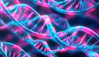 DNA،R^Mĳâ