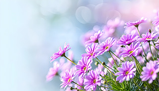 ɫrԭʼϵă(yu)ОıO(sh)ӋԪ