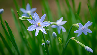 ɫˮɻʢ_ĴL(fng)еČ?k)o(chng)