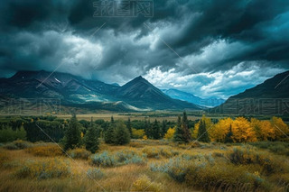 L(fng)(yu)I(lng)MGɫֲߴľºꂥ