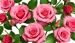 M(mn)ļtõ儓(chung)Ļܱ